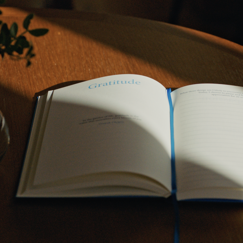 
                      
                        The Mindfulness Journal
                      
                    