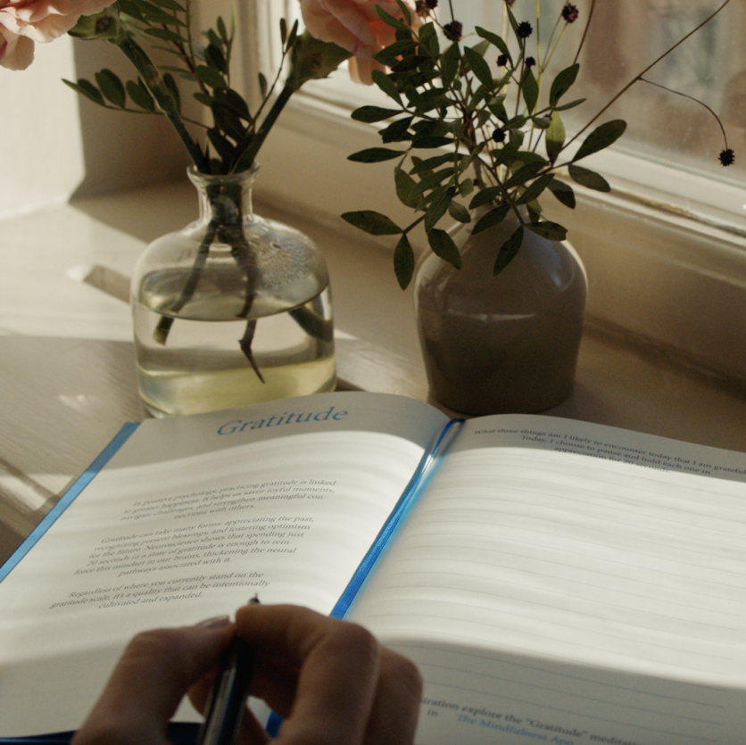 
                      
                        The Mindfulness Journal
                      
                    